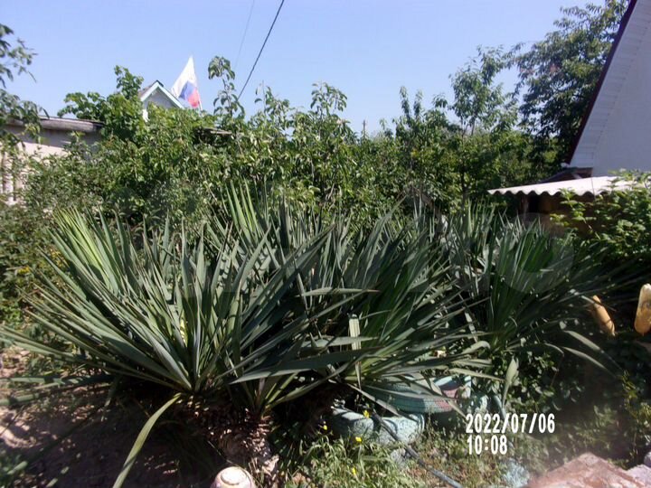 Дом 100 м² на участке 10 сот.