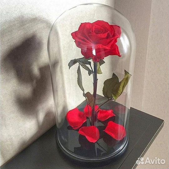 Розы в колбе