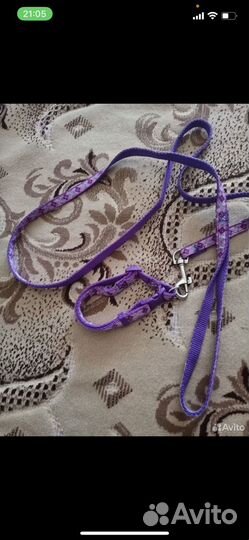 Ошейник, дождевик для собак, толстовка