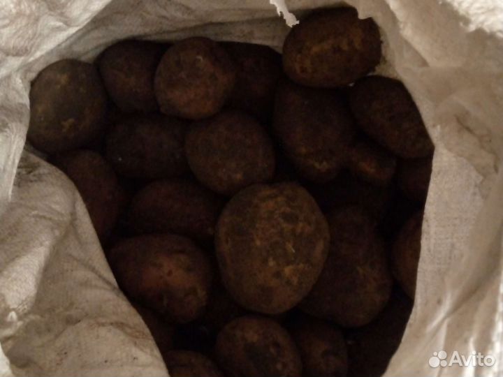 Продам картофель со своего огорода