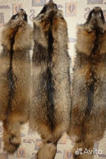 Шкуры енота, куницы, норки