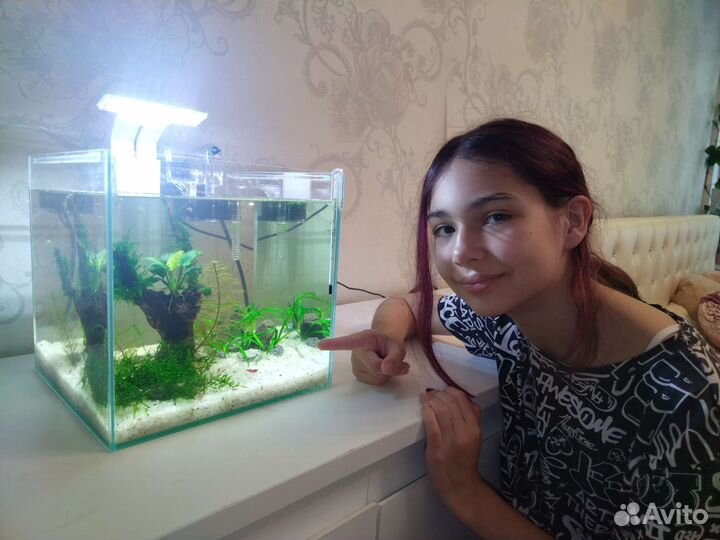 Подарочный мини-аквариум 