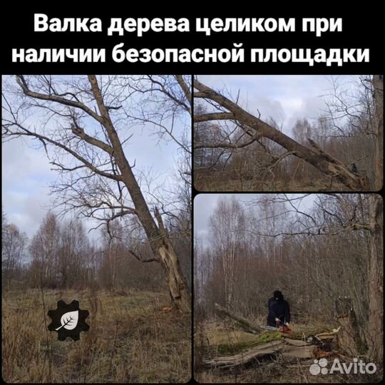 Безопасно пилим любые деревья