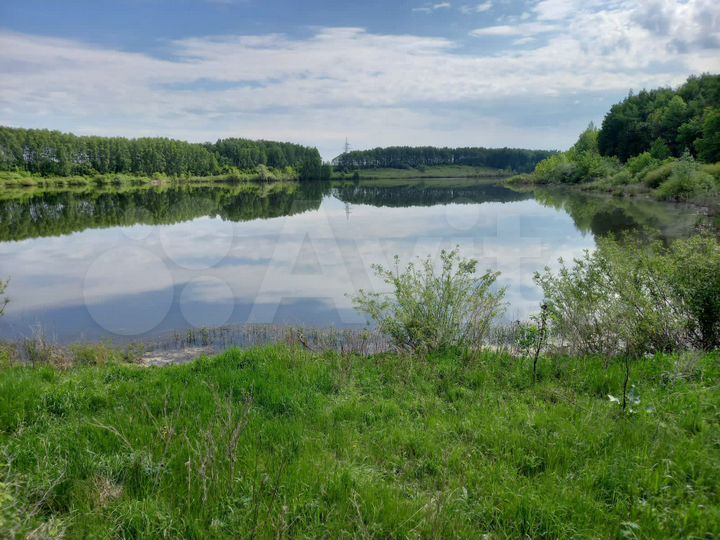 Участок 42 га (СНТ, ДНП)