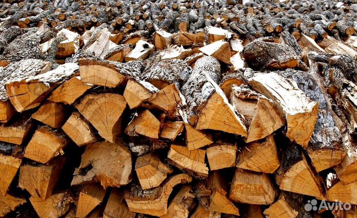 Дрова с Выборга