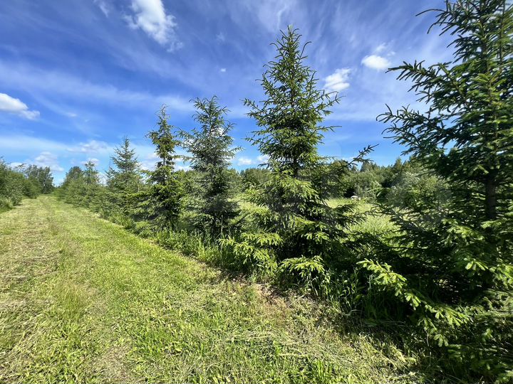 Участок 9 сот. (ИЖС)