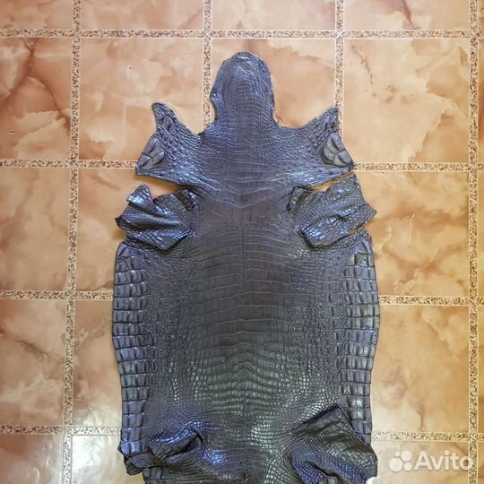 Шкурка крокодила, животик