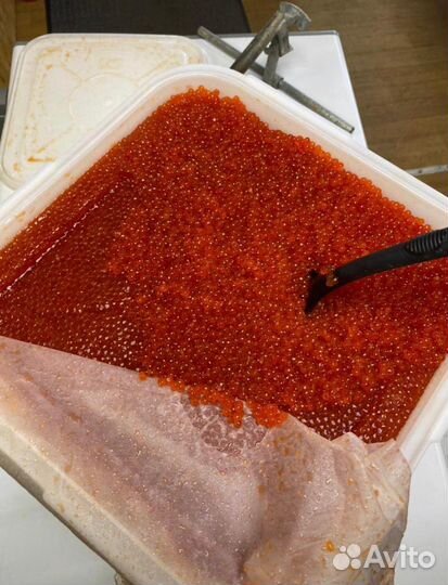 Икра красная 500гр 2023г