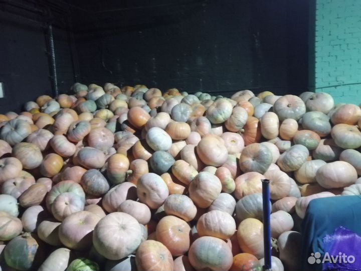 Тыква, арбуз, овощи и легендарная том паста