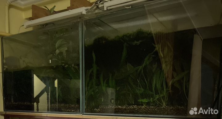 Продам аквариум