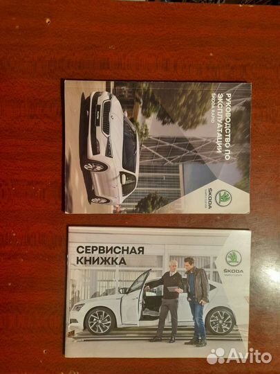 Skoda rapid сервесная книга
