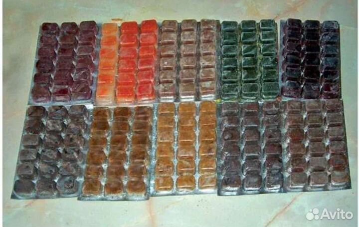 Артемия декапсулированная и не только