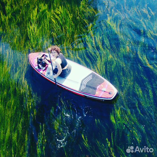 Сап прогулки по реке Оредеж