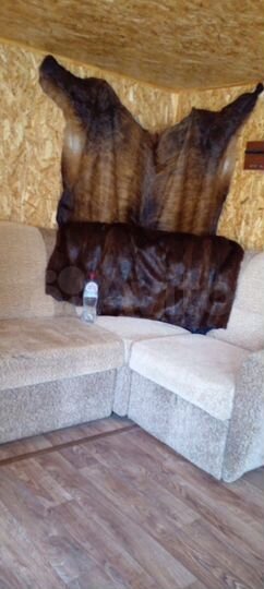 Дача 25 м² на участке 8 сот.