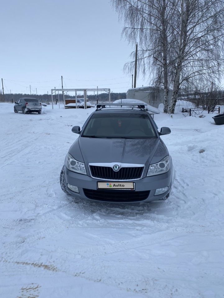 Skoda Octavia: фото владельца
