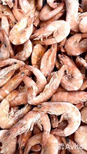 Оптом Креветки