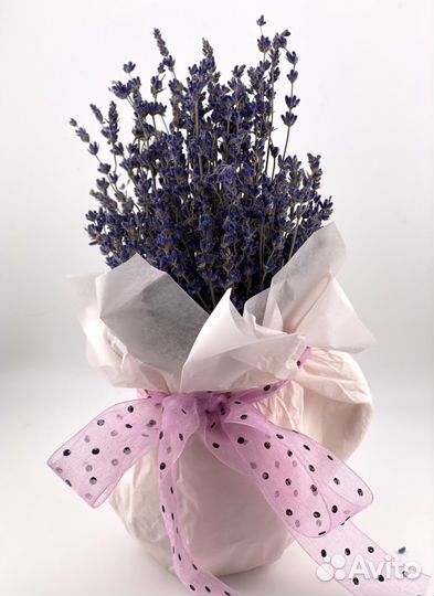 Лаванда в вазе