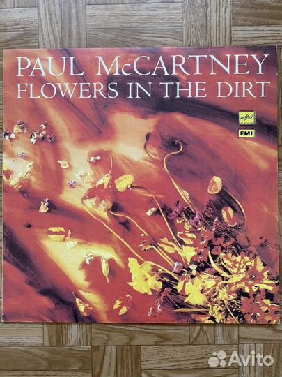 Виниловые грампластинки