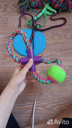 Игрушки и амуниция доя собак