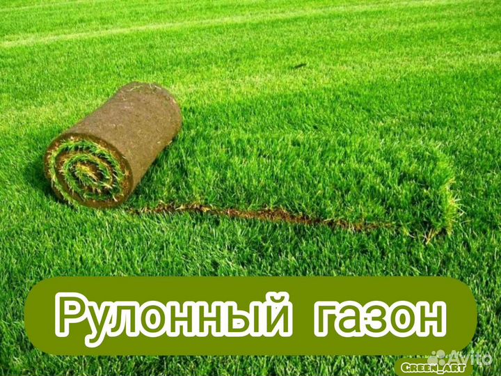 Рулонный газон
