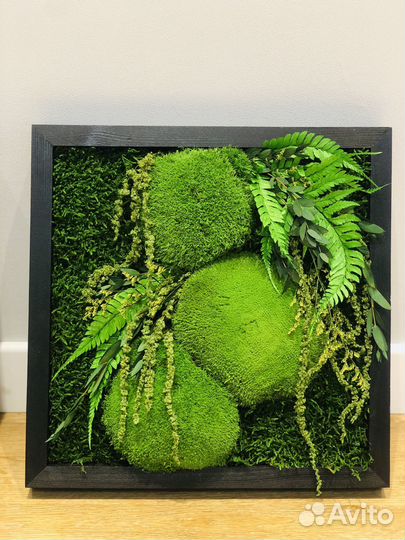 Картина натуральный мох