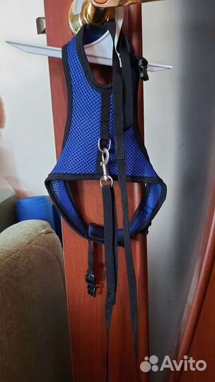 Для кошек и мелких собак