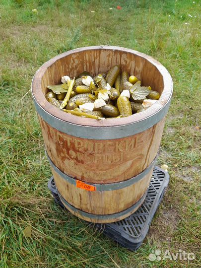 Огурцы бочковые