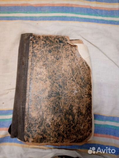 Калереквия