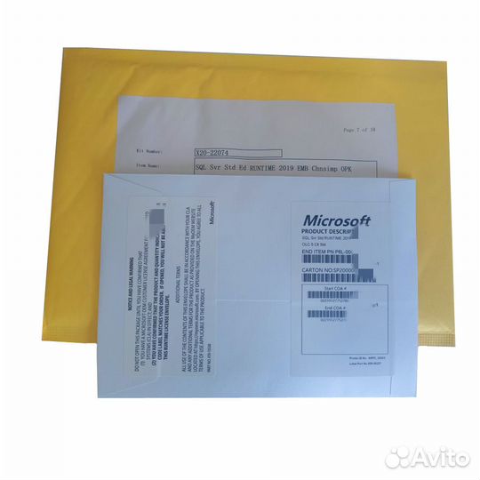 Microsoft SQL Server Standard 2019 ESD