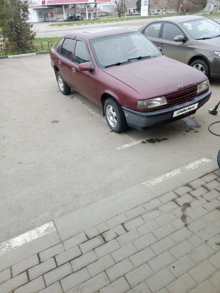 Opel Vectra: фото владельца