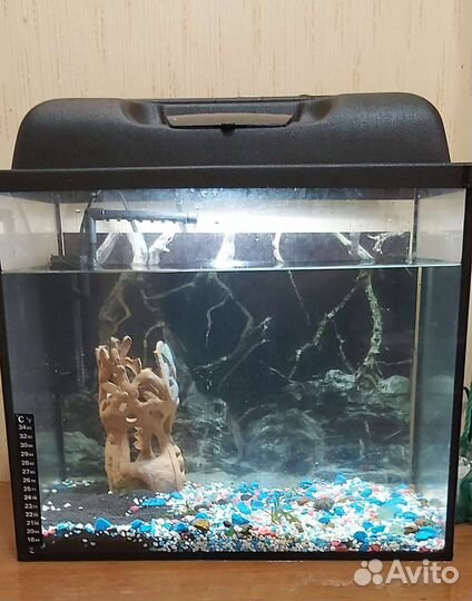 Аквариум