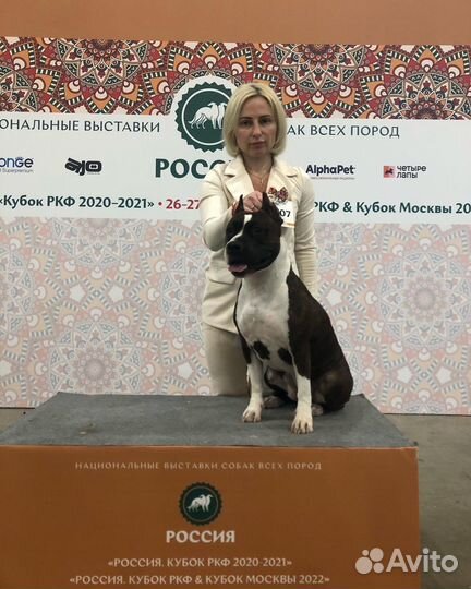 Услуги хендлера