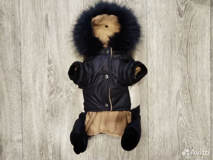 Костюм для собак