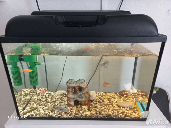 Аквариум 60л с рыбками