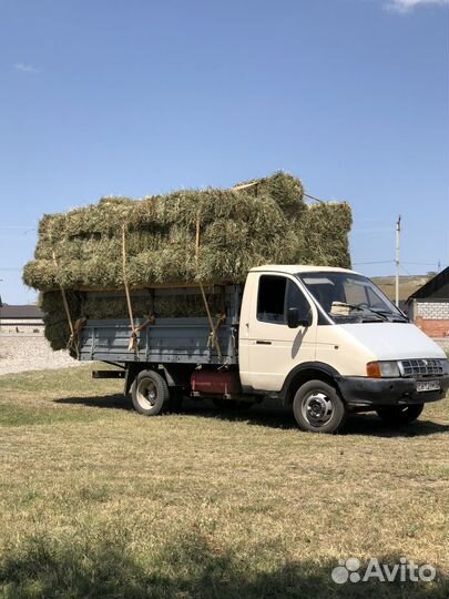 Сено разнотравье с доставкой