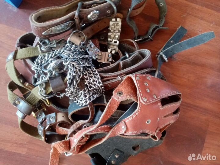 Намордник, ошейник для большой собаки