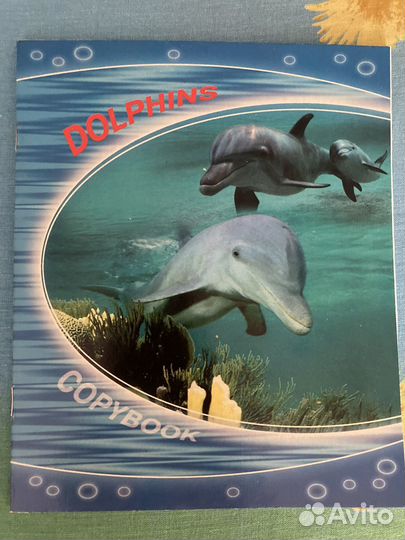 Тетради в клетку пропись блокнот скб банк