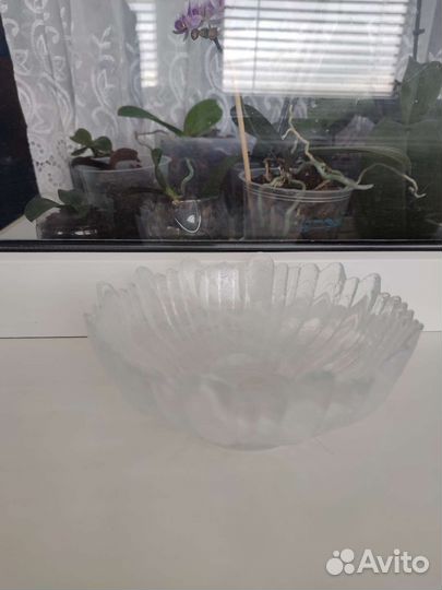 Салатница в виде ракушки Германия