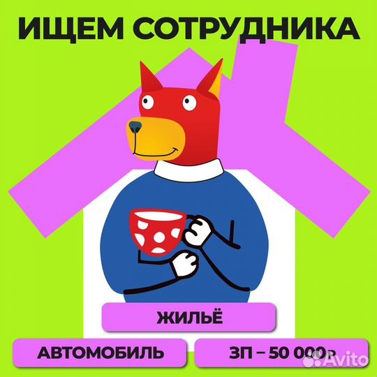 Сотрудник в приют для животных