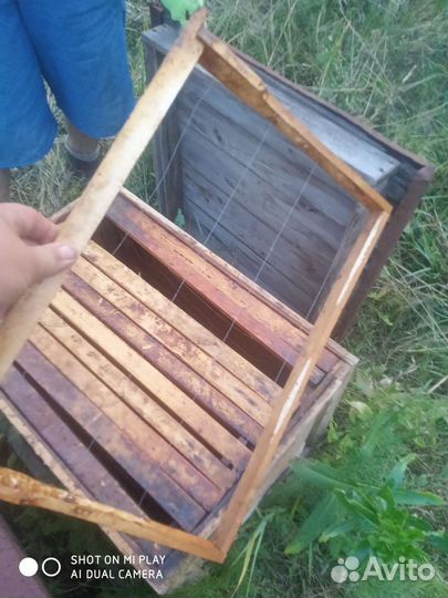 Ульи для пчел