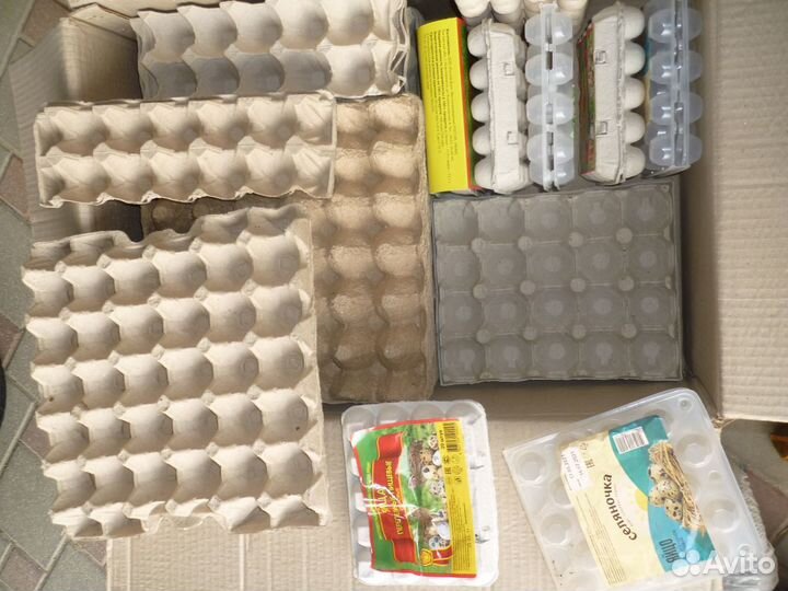 Лотки б/у для яиц