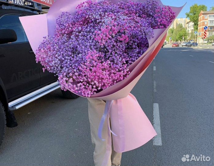 Шикарная гипсофила 11 15 21 25 31 51