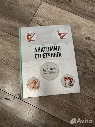 Анатомия стретчинга