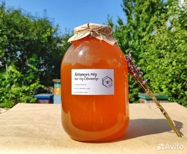 Мед луговое разнотравье/ акация наисвежайший