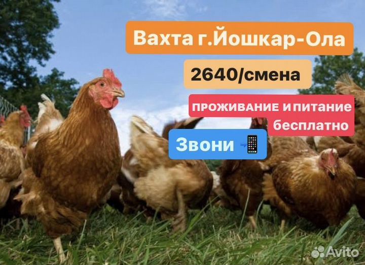 Вахта в Йошкар-Оле. Упаковщики