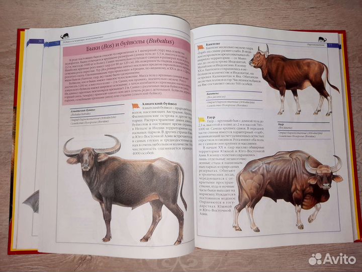 Животные мира красная книга