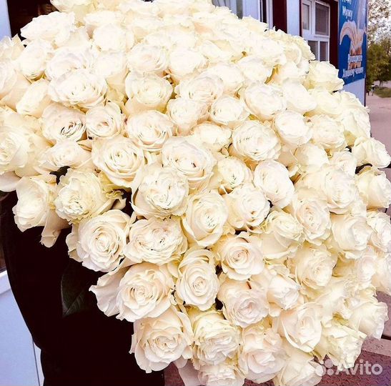 Высокие розы Гигантские розы Доставка цветов