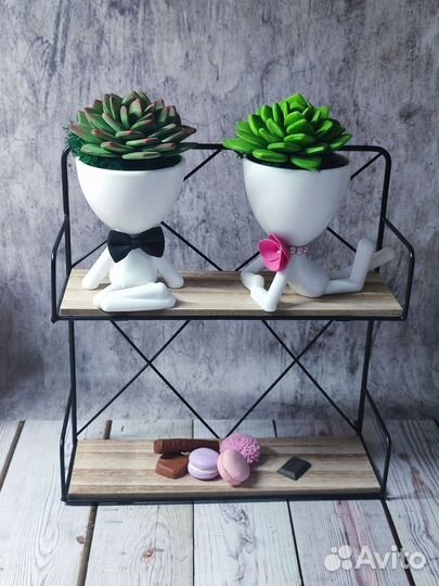 Цветочная композиция с суккулентами