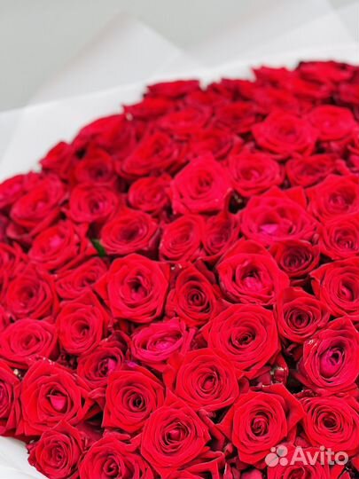 Букеты из 101 розы, 51 розы, 25 роз с доставкой
