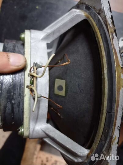 Нч динамики 25гд41-4ом S90